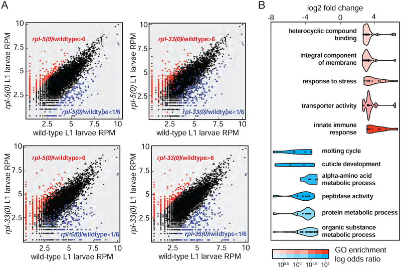 Figure 6: