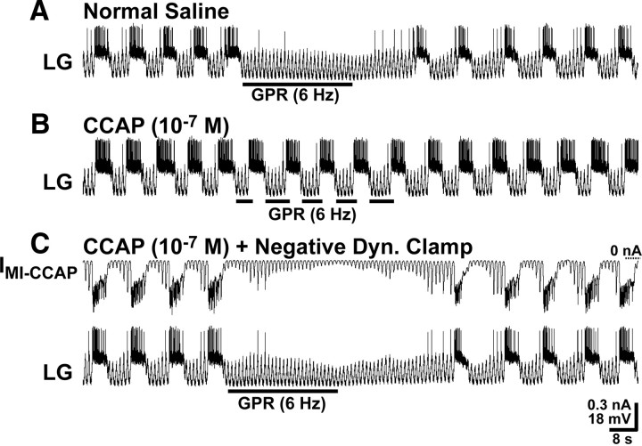 Figure 6.