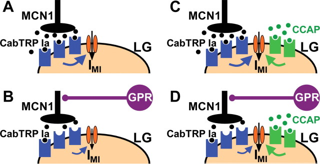 Figure 7.