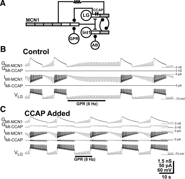 Figure 2.