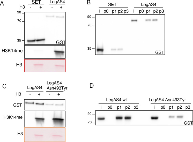 Fig 4