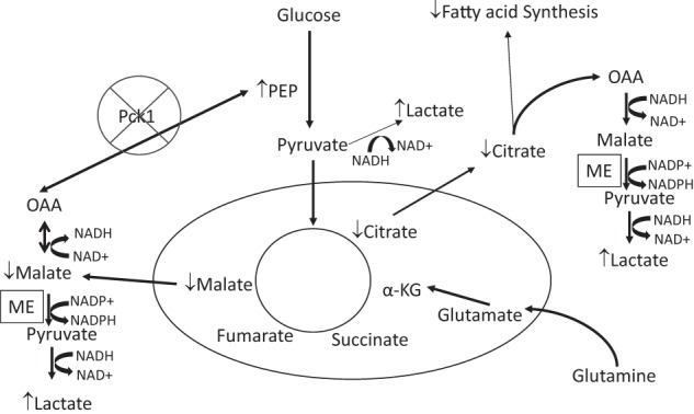 Figure 8.