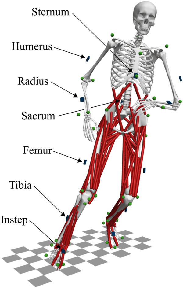 FIGURE 2