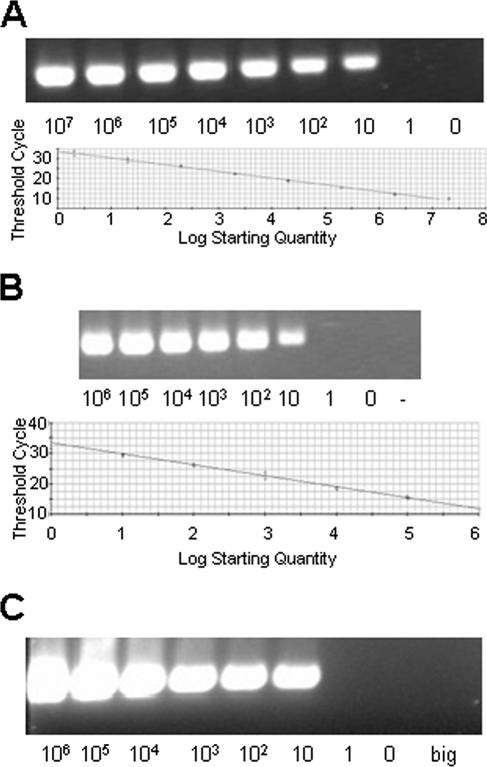 FIG. 1.