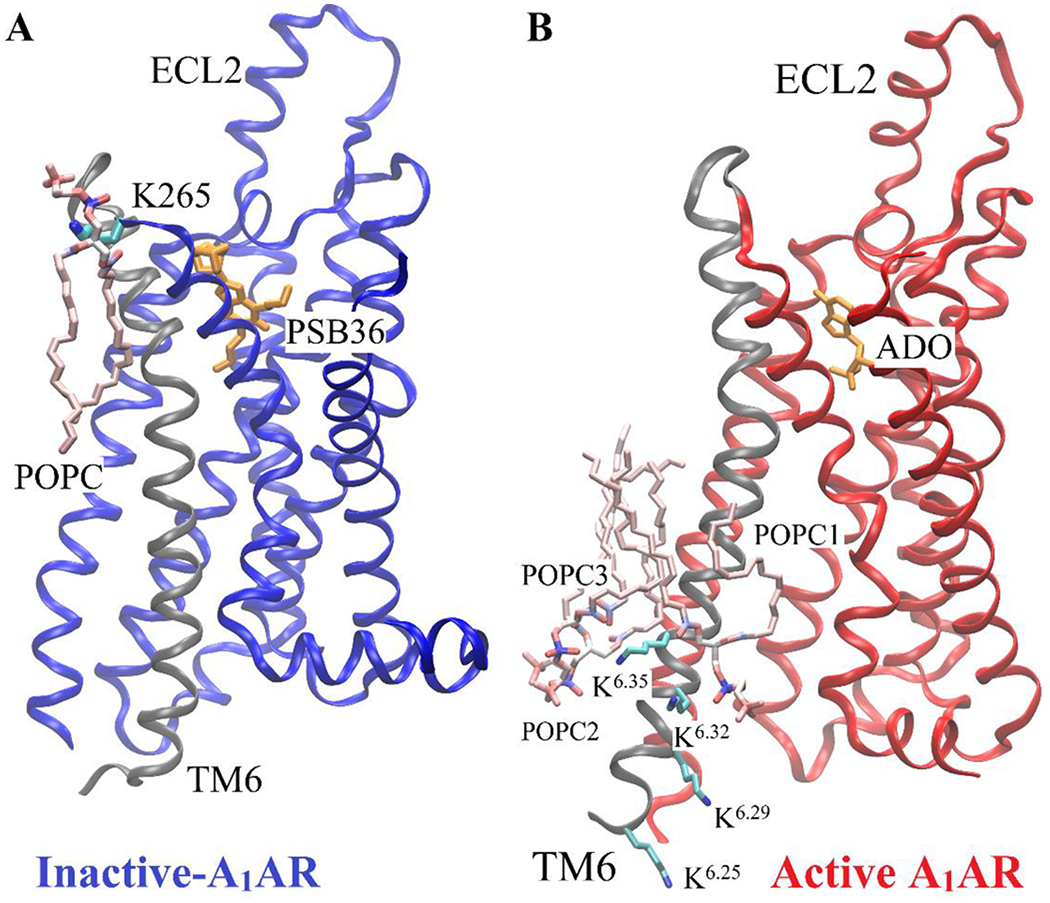 Figure 5: