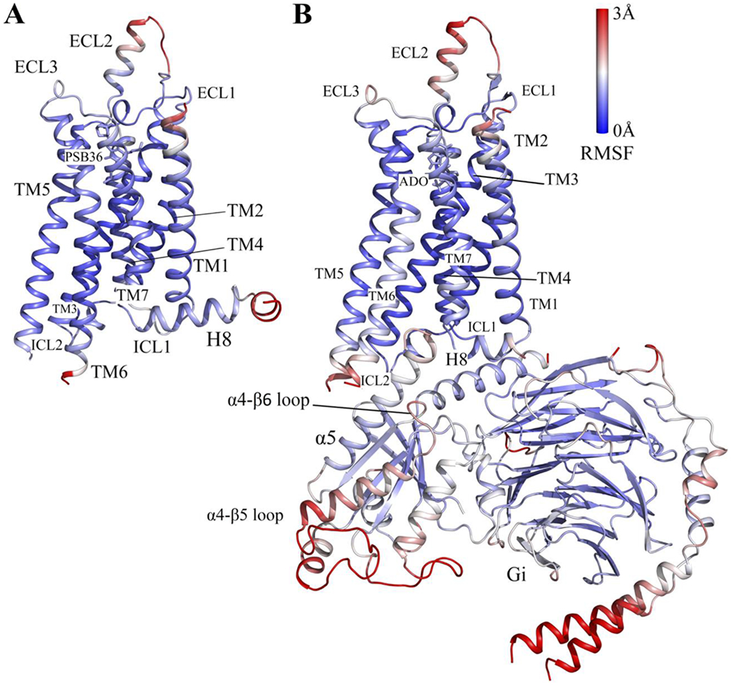 Figure 1: