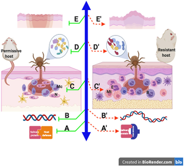 Figure 2.