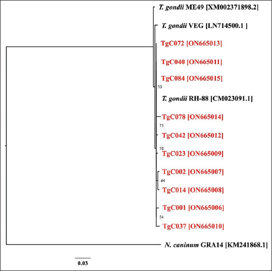 Figure-3