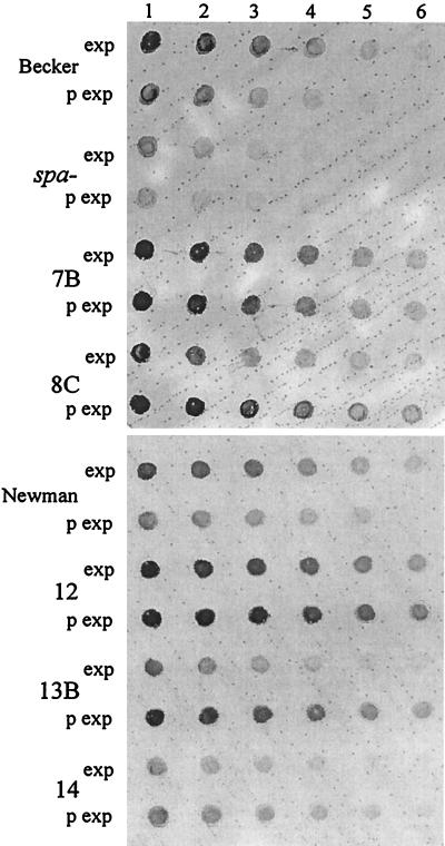 FIG. 5