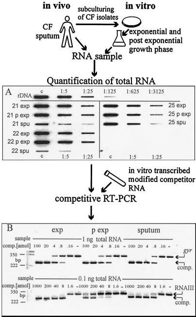 FIG. 1