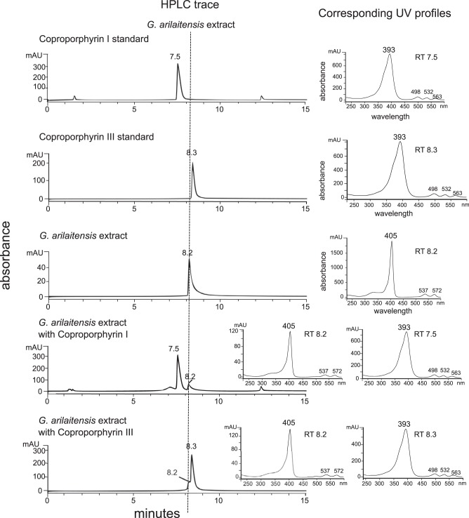 FIG 4 