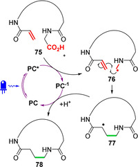 Figure 26