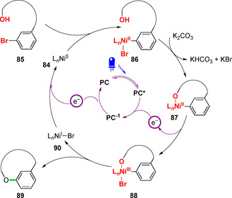 Figure 29