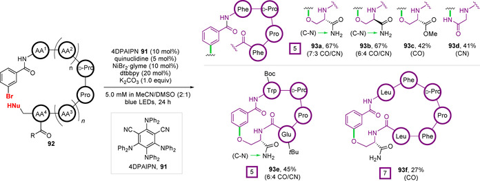 Figure 30