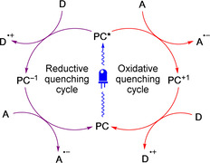 Figure 23