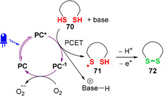 Figure 24