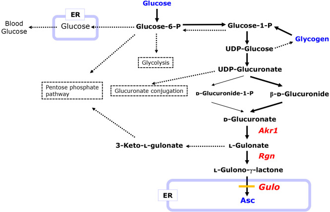 Fig. 2.