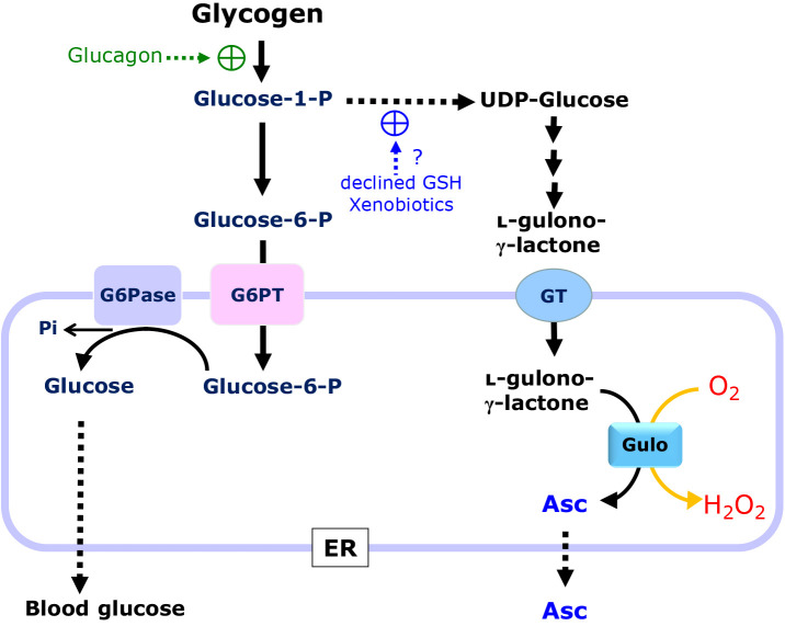 Fig. 3.