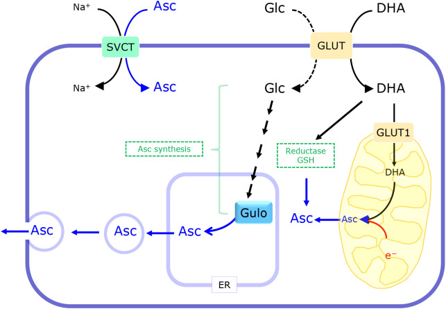 Fig. 4.