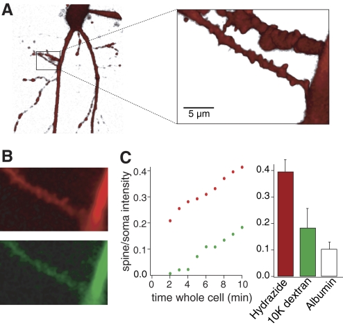 Fig. 4.