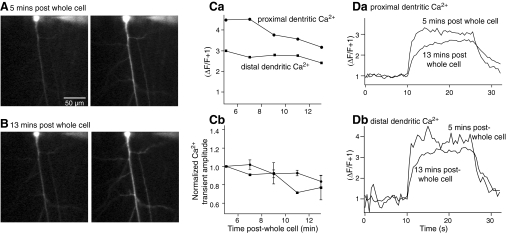 Fig. 6.