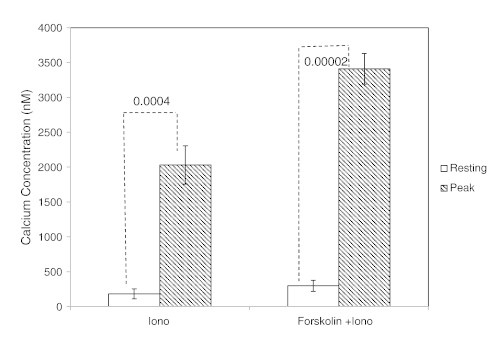 Figure W3