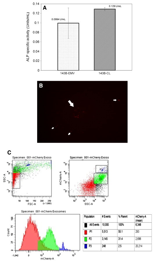 Figure 5