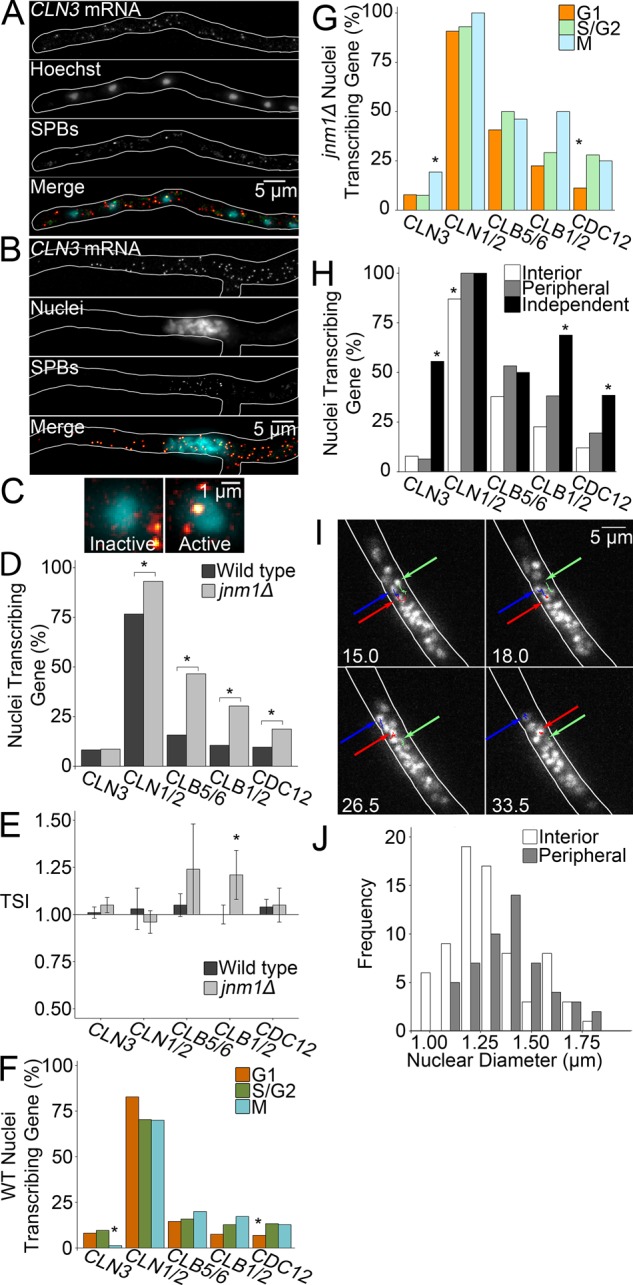 FIGURE 2: