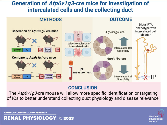 graphic file with name f-00137-2023r01.jpg