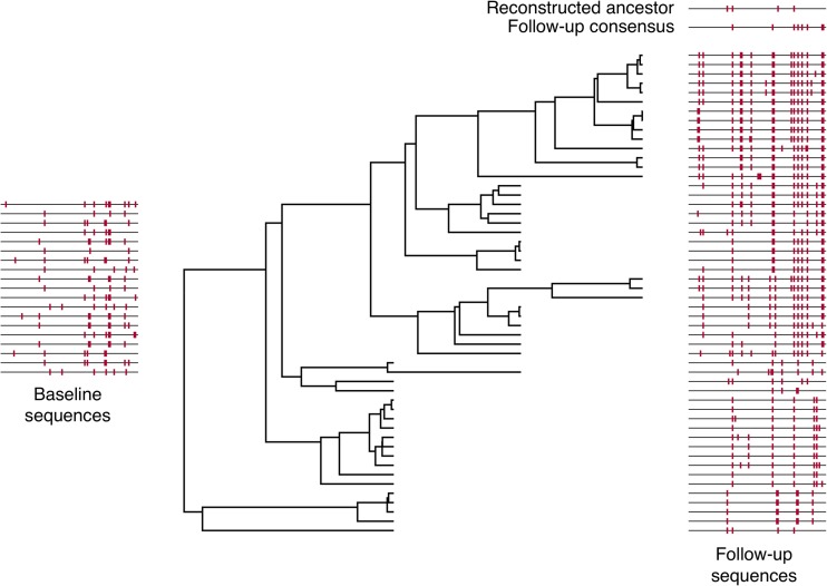 FIG 1