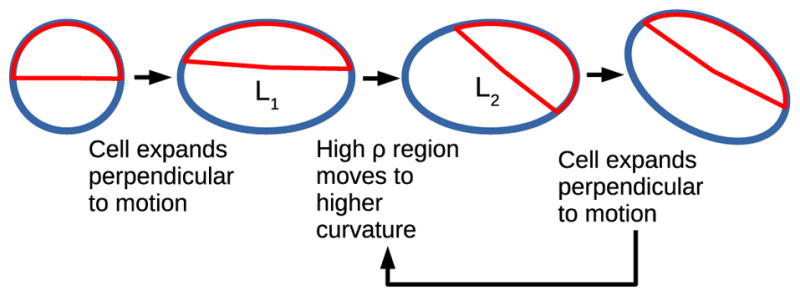 FIG. 5