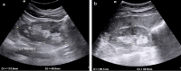 Fig.1