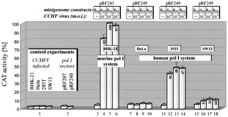 FIG. 5.