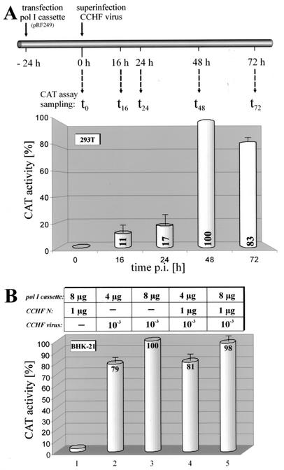 FIG. 6.