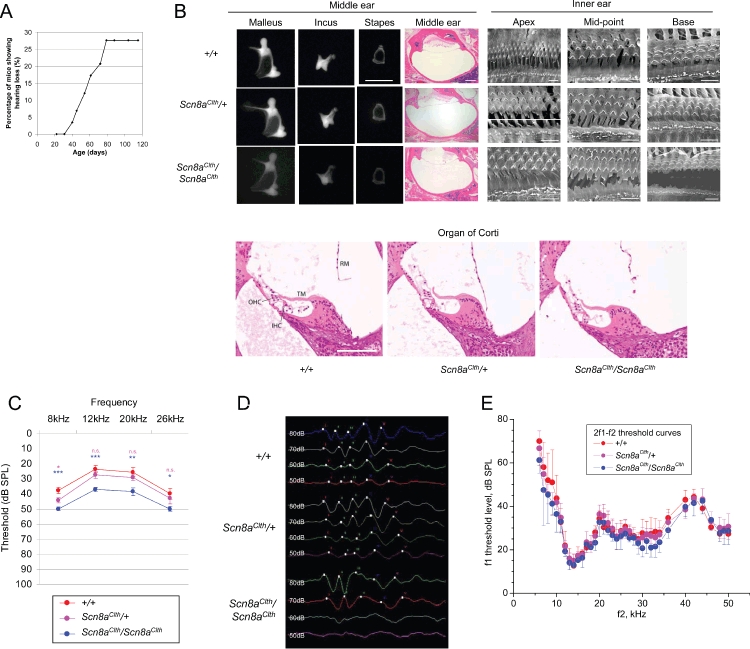 Figure 2: