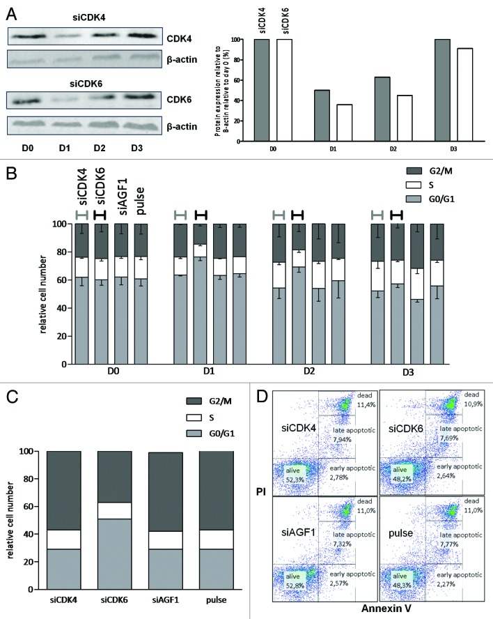 graphic file with name cc-13-834-g5.jpg