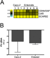 Fig. S5.