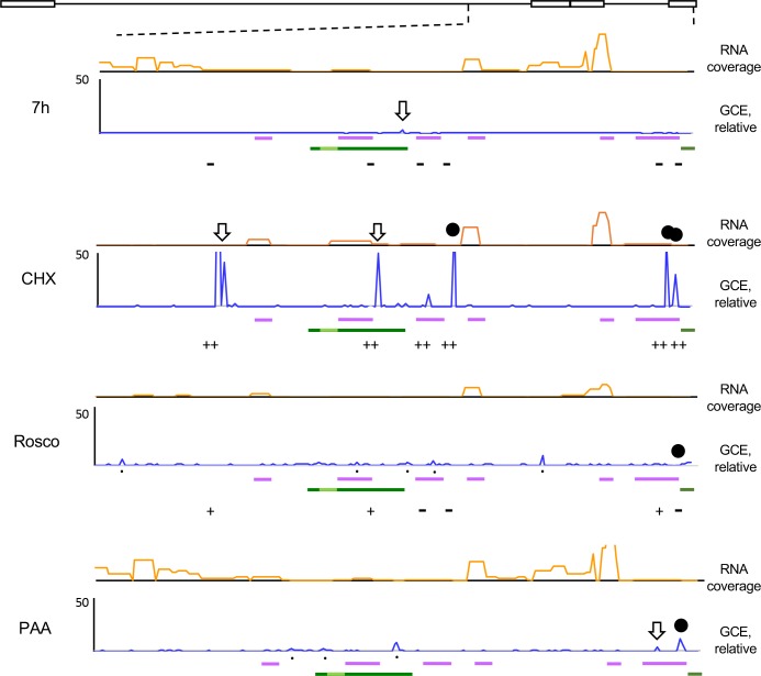 Fig 10