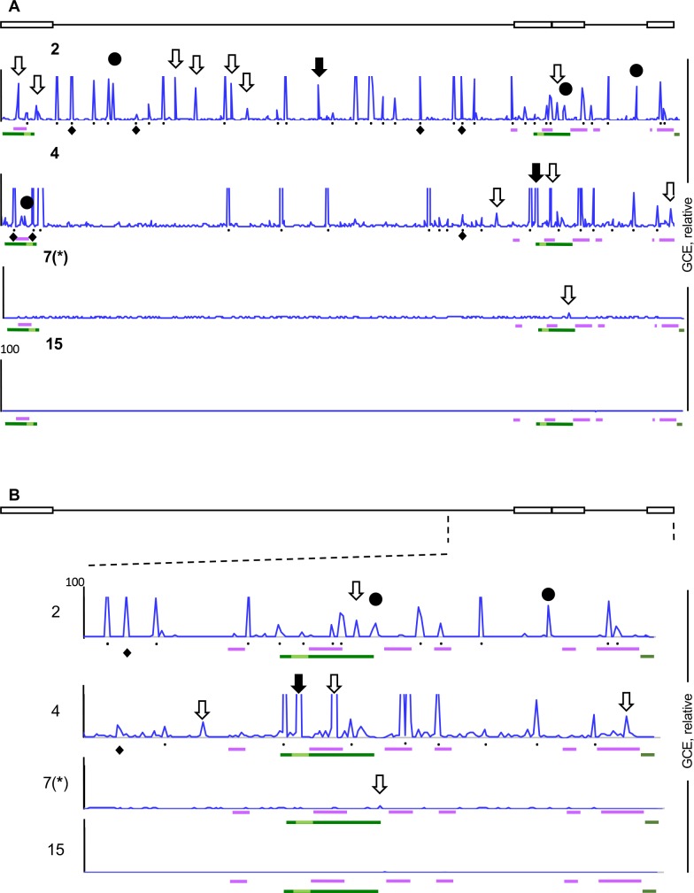 Fig 11