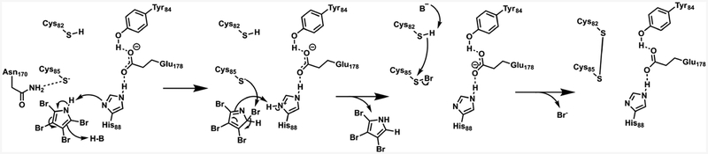 Scheme 2.