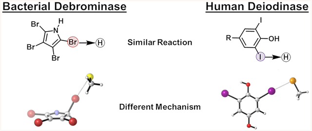 graphic file with name nihms-1034877-f0001.jpg