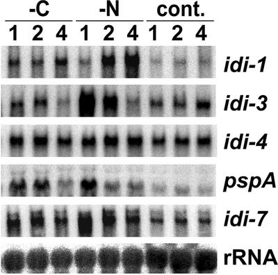 FIG. 2.