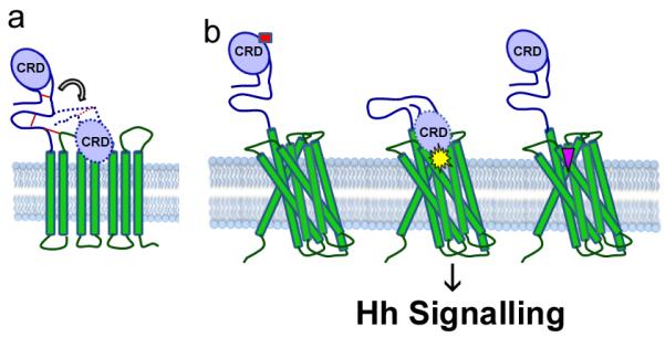 Figure 7