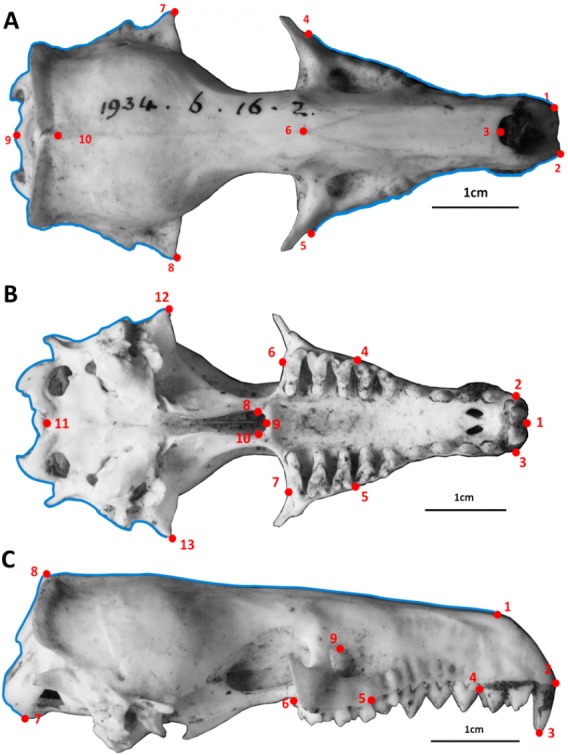 Figure 2
