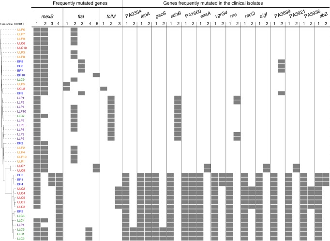 Fig. 4