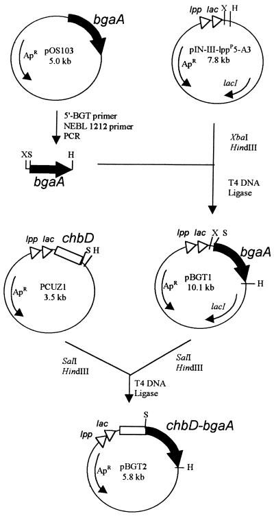 FIG. 1