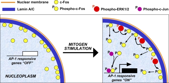 Figure 10.