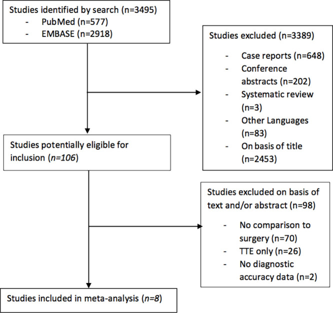 Flowchart describes the publication search and selection of eligible studies.