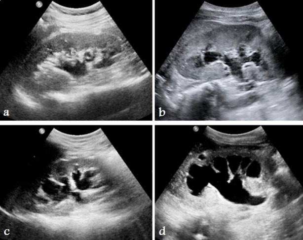 Fig.1