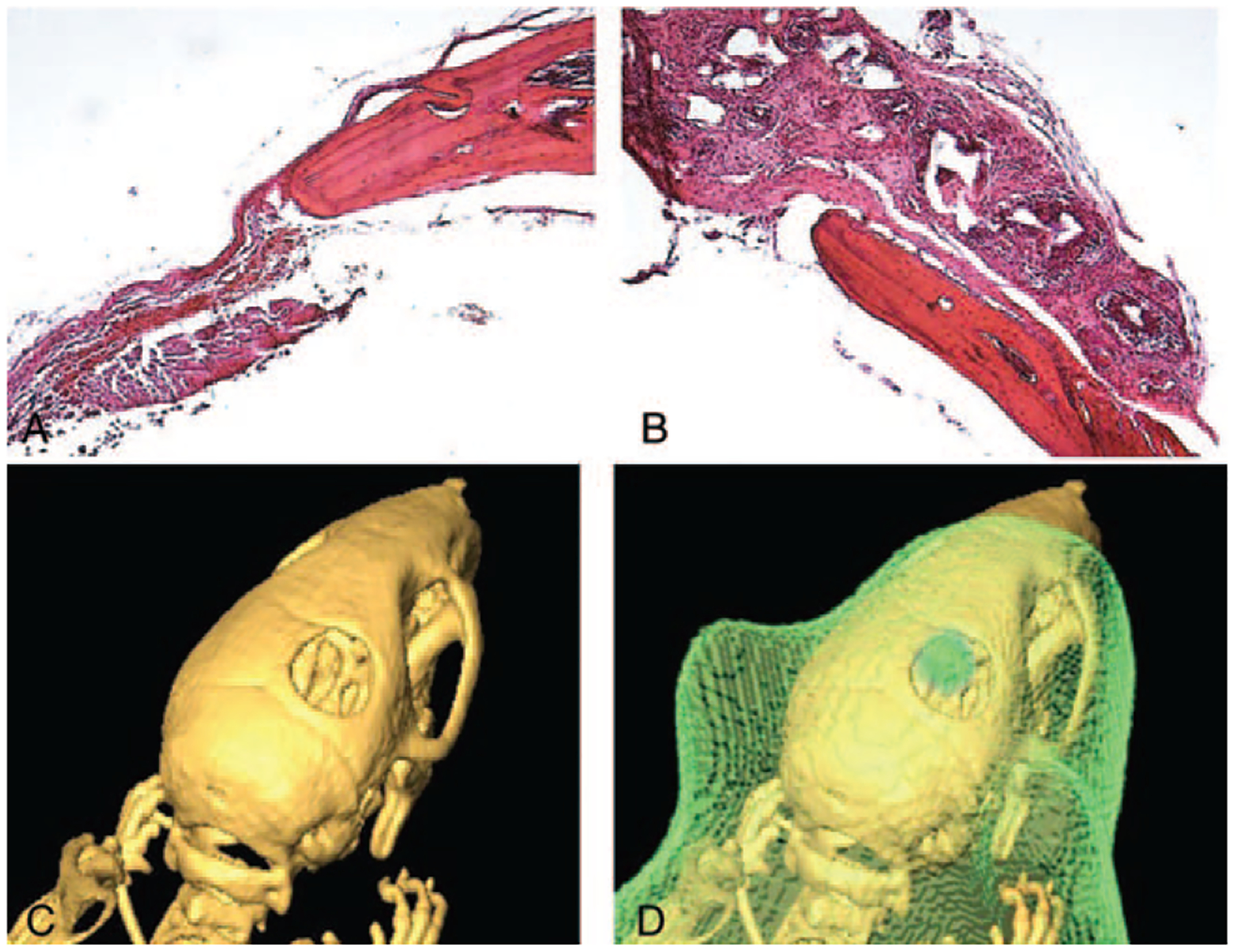 FIGURE 4.